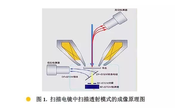 金华扫描电镜